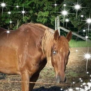 Meet your Posher, Barbara